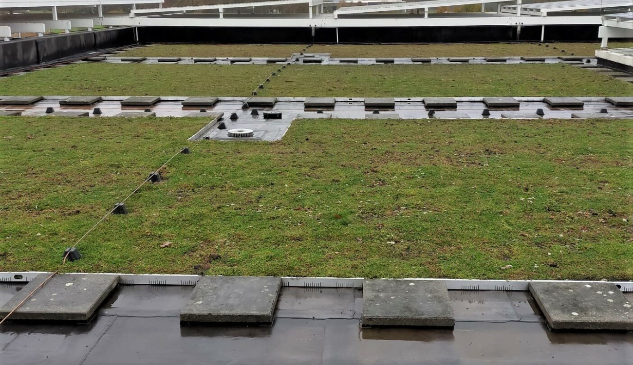 Sedumdak verwijderen in Deventer