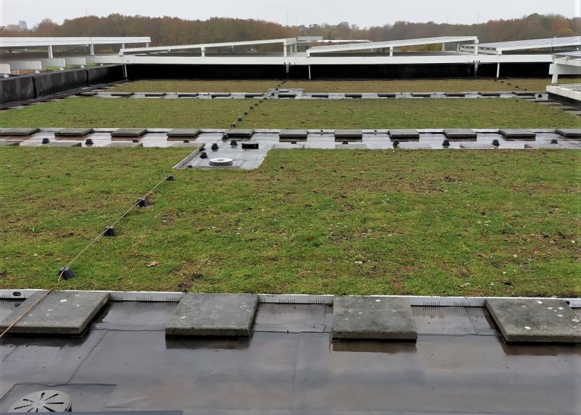 Sedumdak verwijderen in Deventer