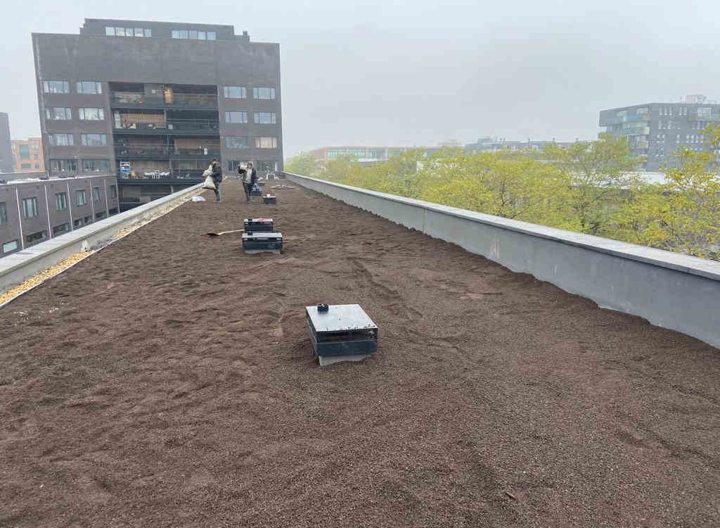 Resultaat aanbrengen substraat op plat dak