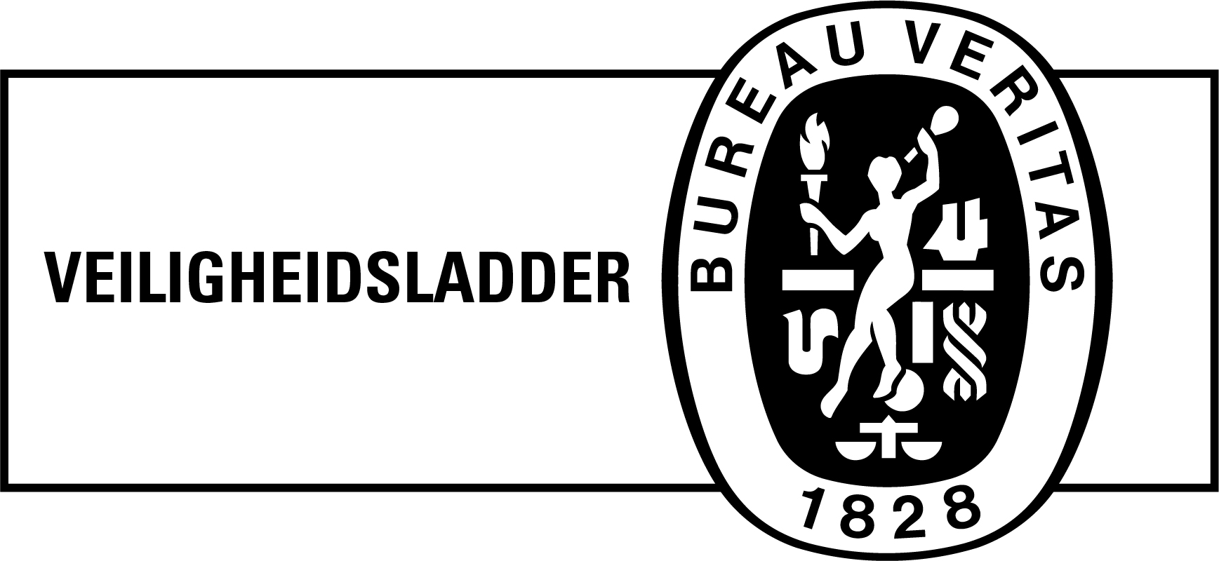 Veiligheidsladder trede 2
